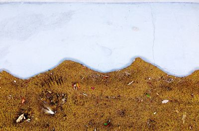 Full frame shot of colorful sand