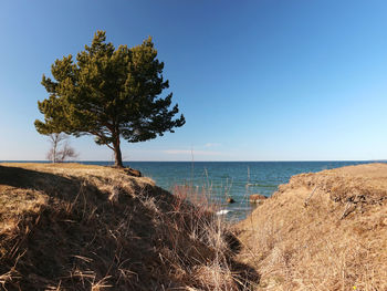 The baltic sea coast