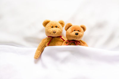 Close-up of stuffed toy against white background