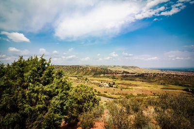 Scenic view of trees on field against sky