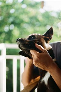 Man with dog