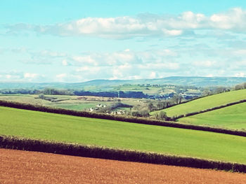 Scenic view of agricultural field against sky