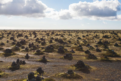 Scenic view of landscape against sky