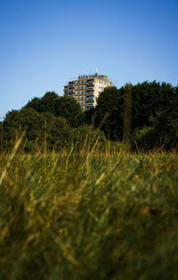 Trees and buildings on field against clear sky