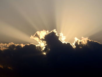 Low angle view of silhouette trees against sky during sunset