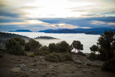 Scenic view of landscape against sky during sunset