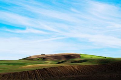 Scenic view of agricultural field against sky