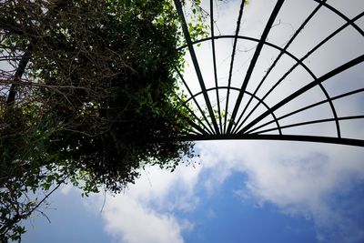 Low angle view of trees against sky