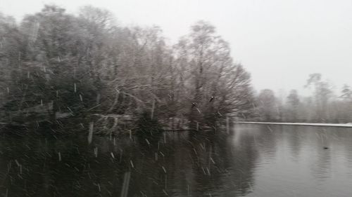 Reflection of trees in lake