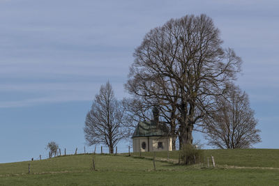 Bare tree on field by building against sky