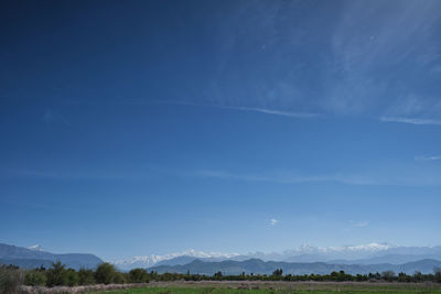 Scenic view of landscape against blue sky