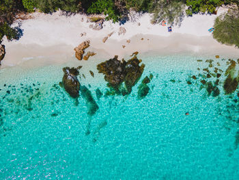 High angle view of man swimming in sea