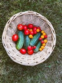 High angle view of strawberries in basket on field