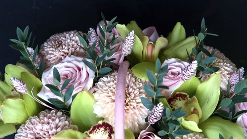 Close-up of pink flowering plants