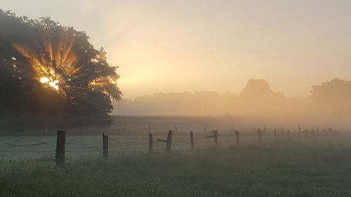 Scenic view of field against sky in foggy weather