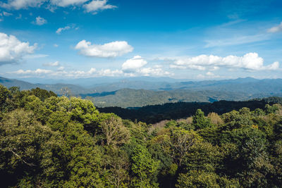 nature
