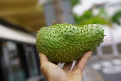 Close-up of hand holding fruit