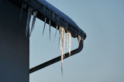 Low angle view of icicles against clear sky