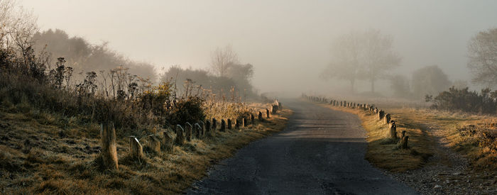 Panoramic shot of trees on landscape against sky