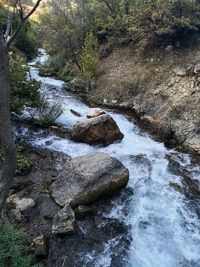 Stream flowing through rocks in forest