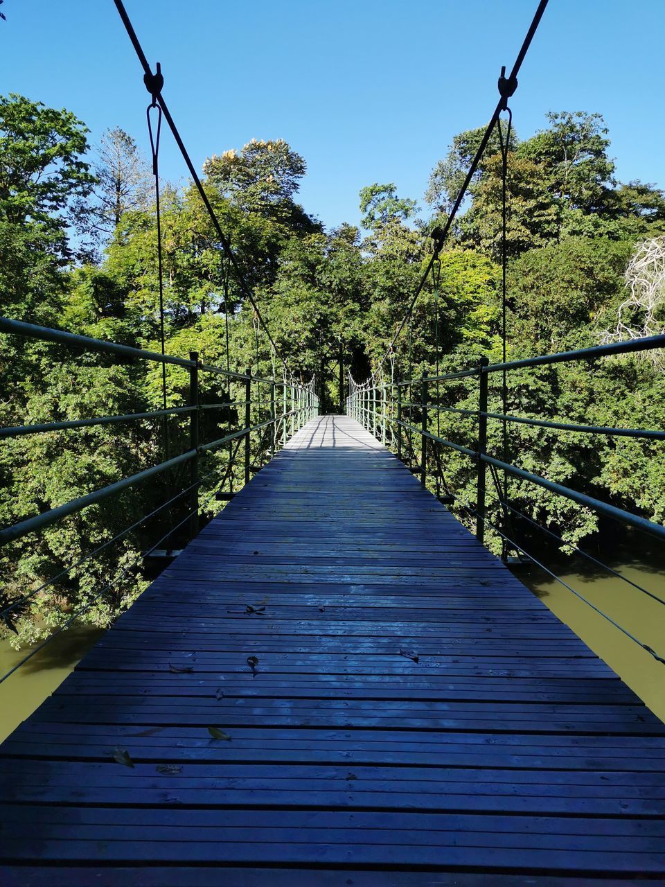 FOOTBRIDGE AMIDST PLANTS AGAINST SKY