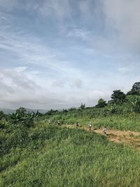 Scenic view of field against sky