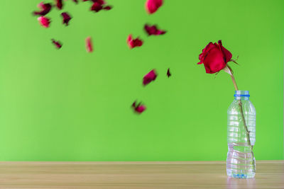 Close-up of red flower vase on table against wall