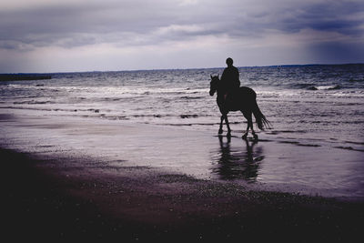 Man riding horse on beach