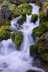 View of waterfall in forest