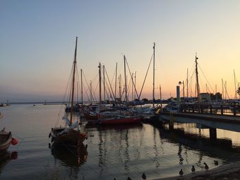 Boats moored at harbor