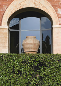 Plants growing outside building