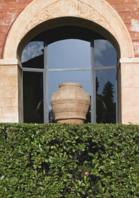 Plants growing outside building