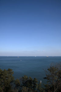 Scenic view of sea against clear blue sky