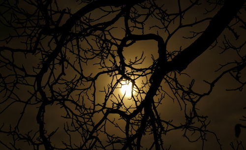 Low angle view of bare trees against sky at sunset