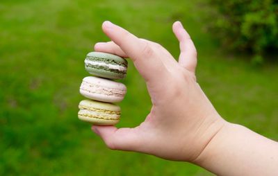 Cropped image of person holding macaroons against blurred grass  background