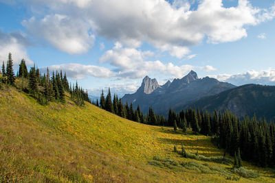 Scenic view of landscape against sky