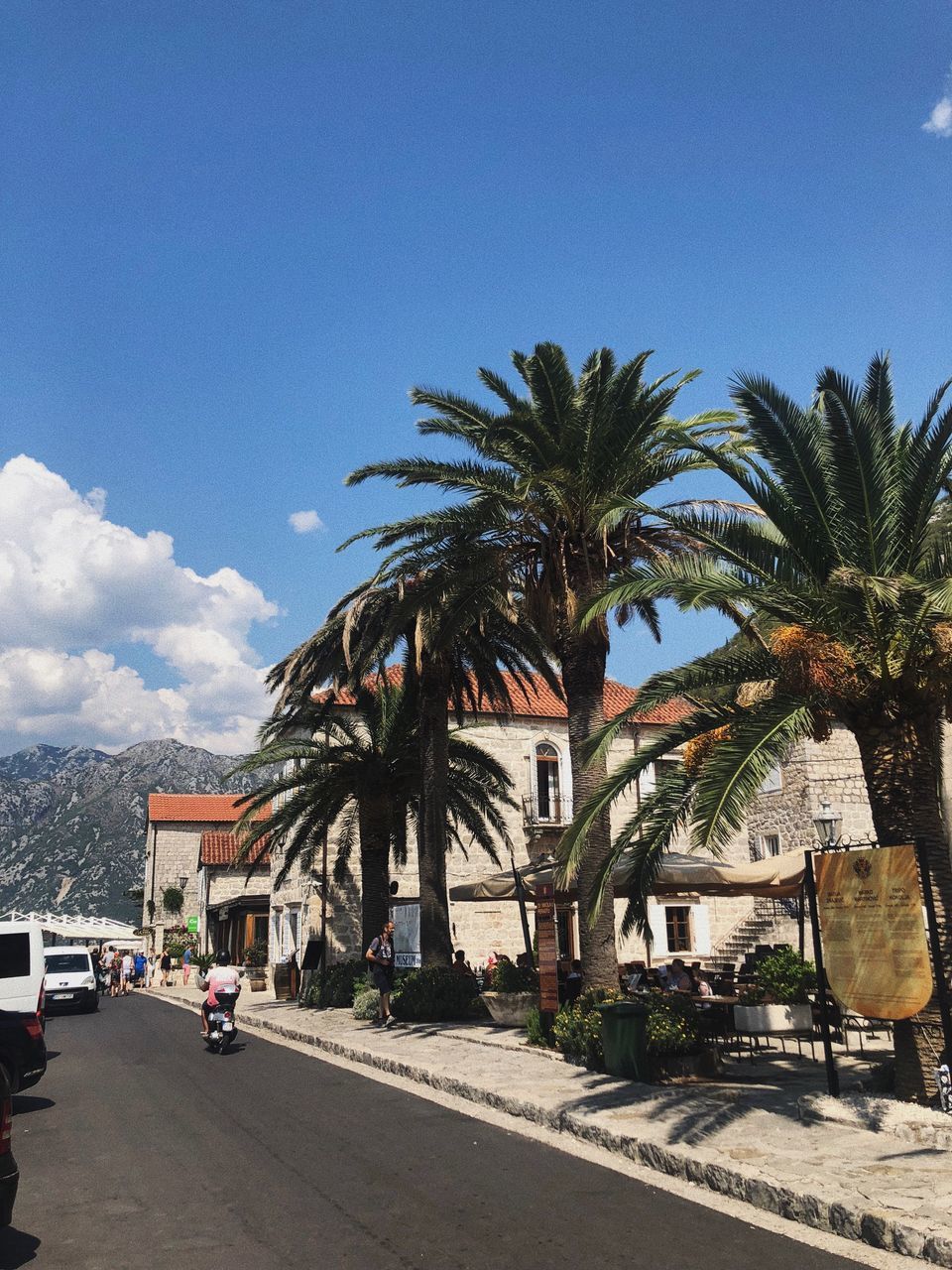 PALM TREES ON ROAD AGAINST SKY