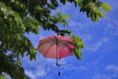 The umbrella is hung on a tree behind the sky.