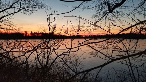 Silhouette bare tree by lake against sky during sunset