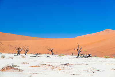 Scenic view of desert against clear blue sky