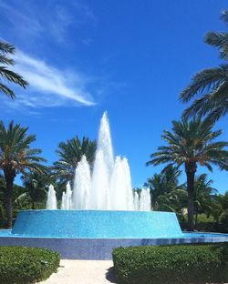 Fountain and palm trees against blue sky