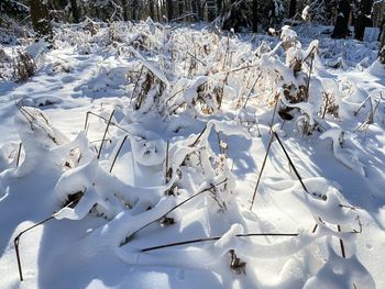 High angle view of snow covered field