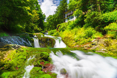 Stream flowing on moss covered rocks against trees