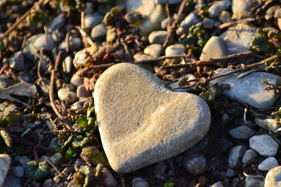 Close-up of pebbles on beach