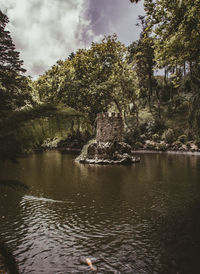 Scenic view of lake in forest against sky