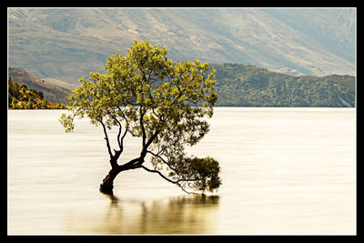 Scenic view of lake and mountains