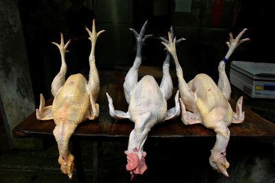 High angle view of dead chicken on table