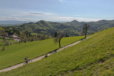 Scenic view of grassy field