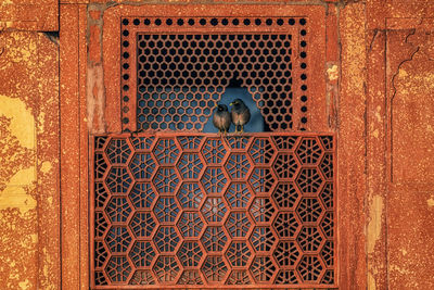 Two small birds resting on a small window opening in zafar mahal in red fort. new delhi, india.