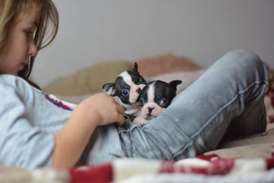 Side view of girl with cute puppies lying on bed at home